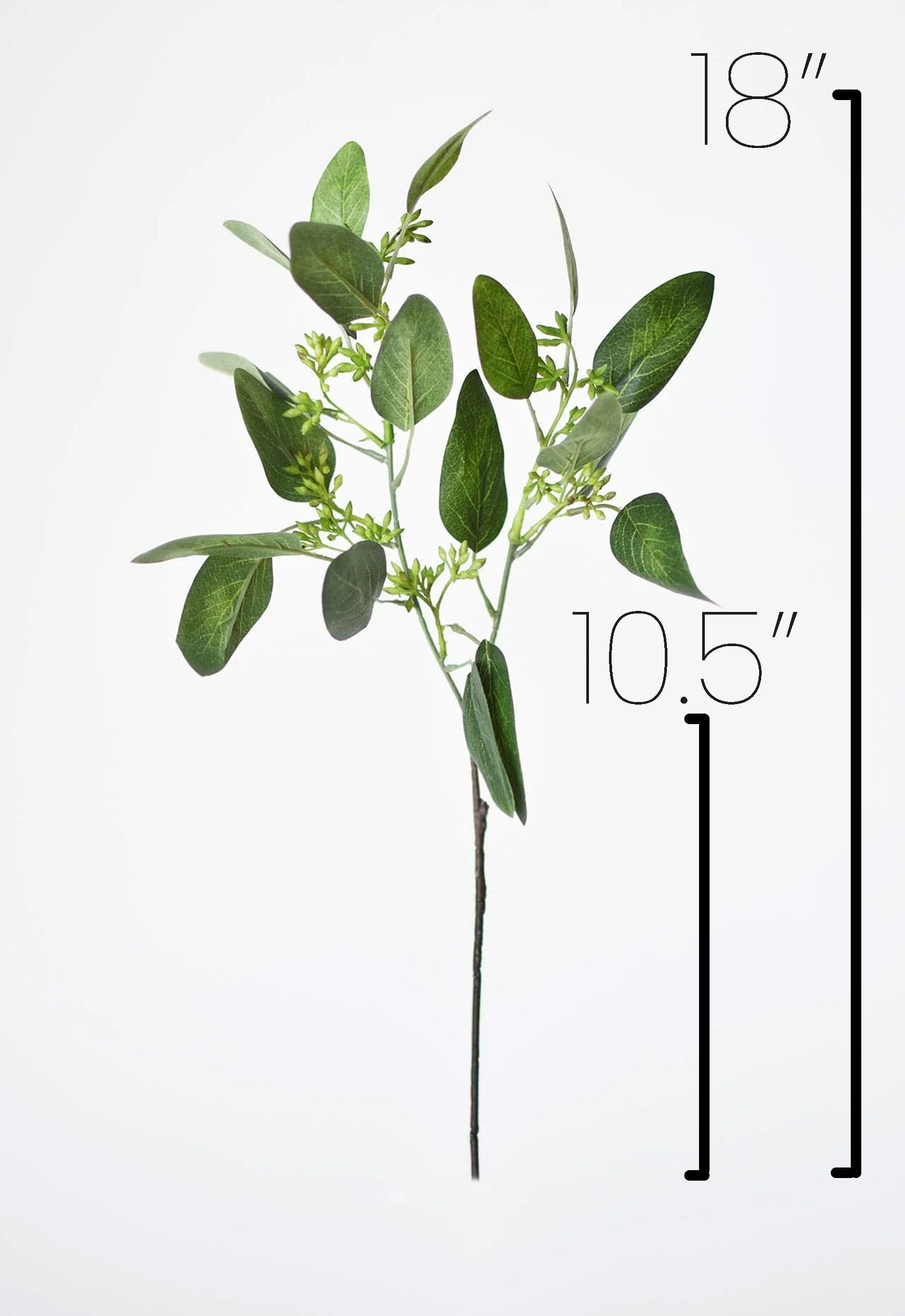 18" Faux Seeded Eucalyptus Stem
