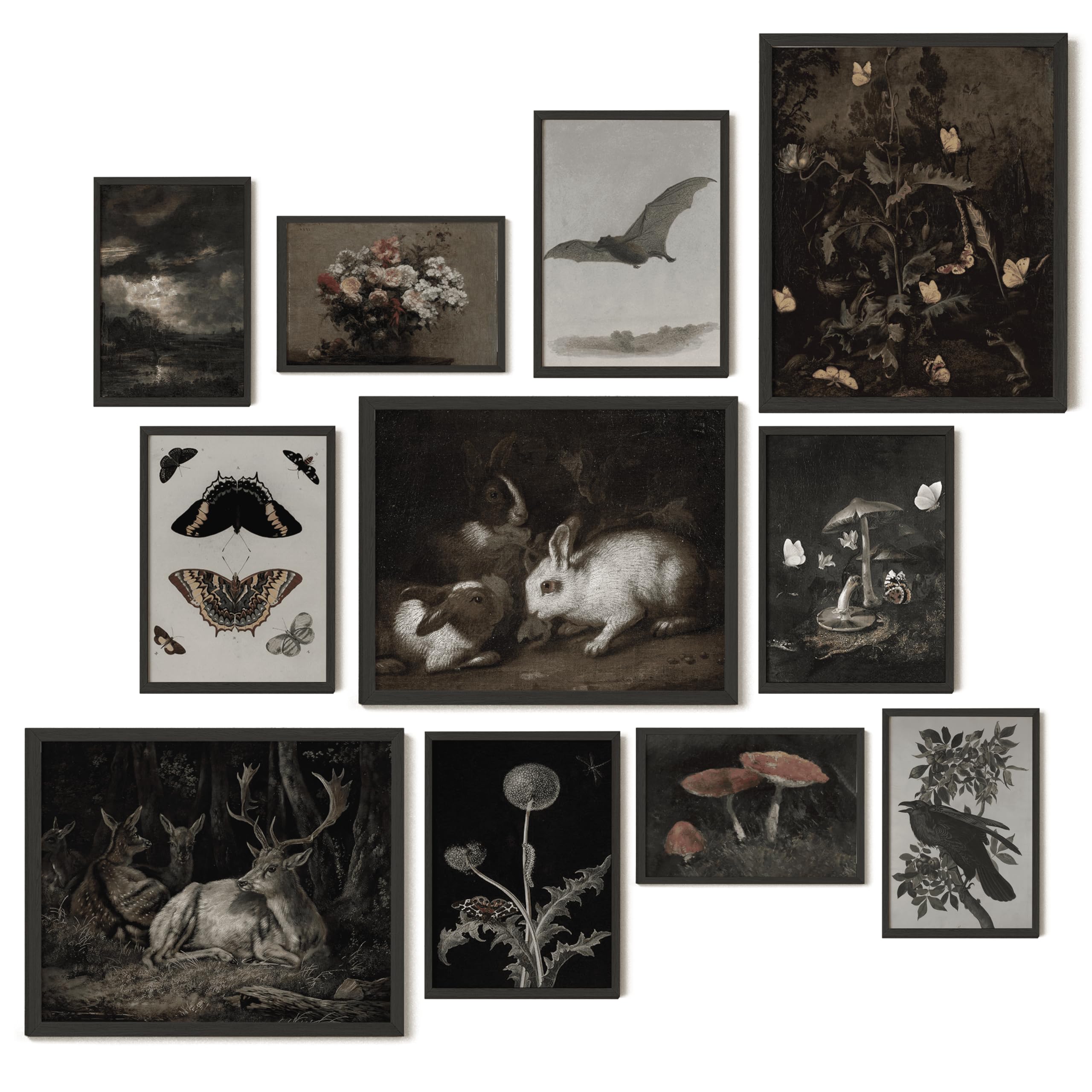 Dark Academia Wall Art