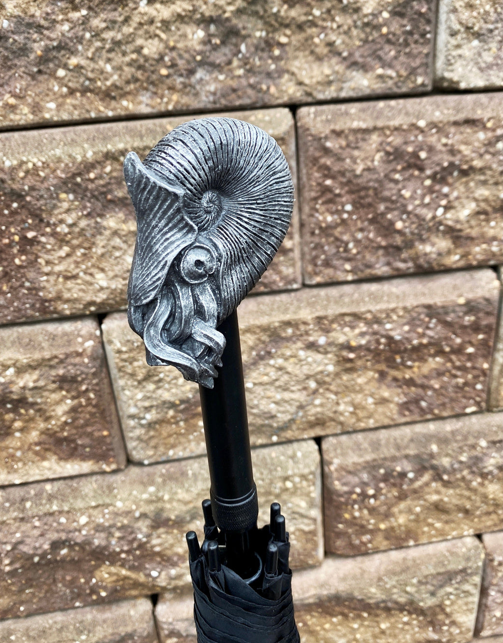 Nautilus Umbrella