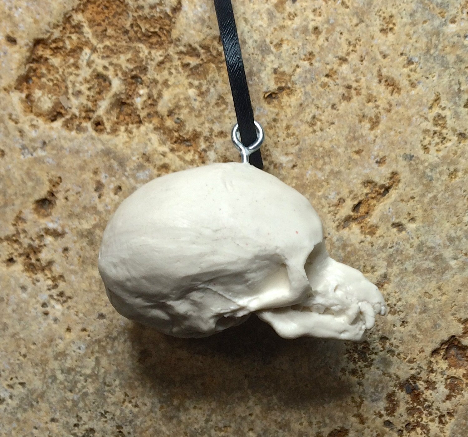 Werewolf Fetal Skull Ornament