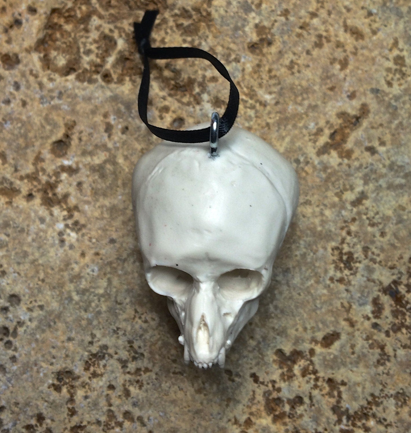 Werewolf Fetal Skull Ornament