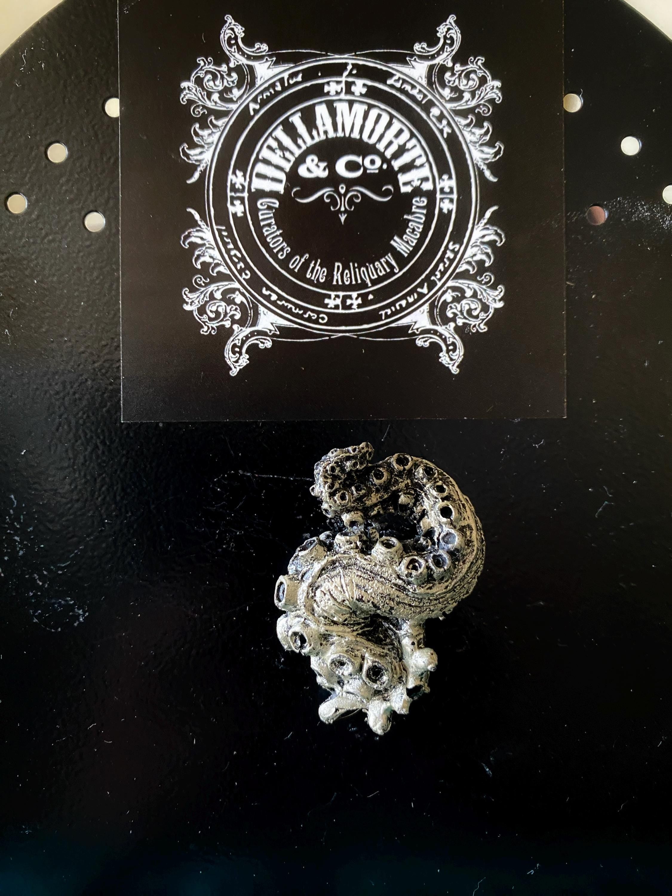 Kraken Tentacle Magnet — Pewter Finish