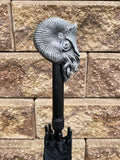Nautilus Umbrella