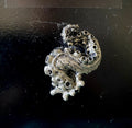 Kraken Tentacle Magnet — Pewter Finish