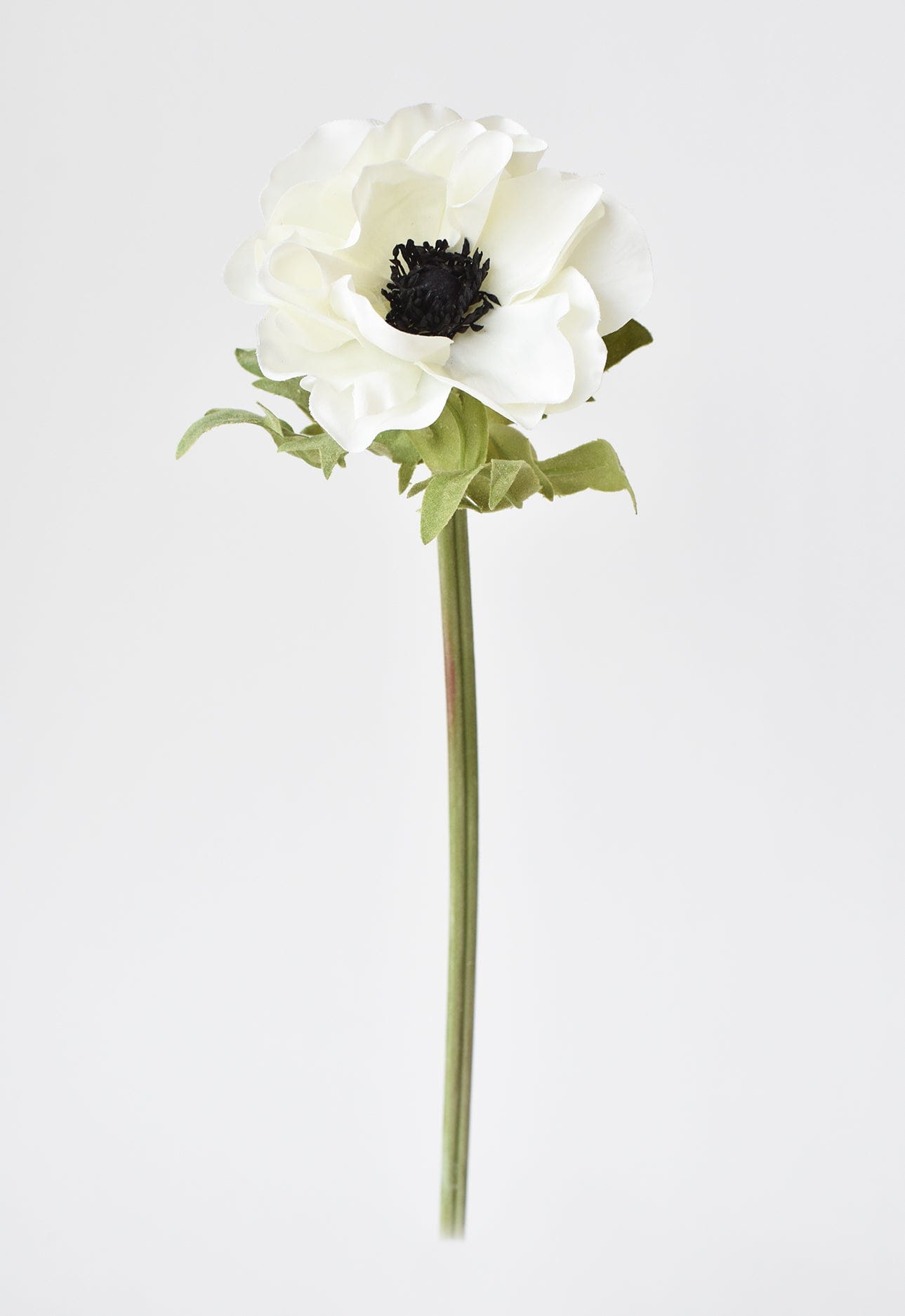 17" Faux Anemone White Stem