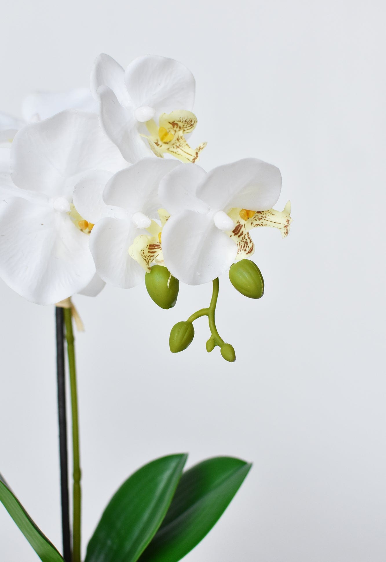 14" Faux Potted Orchid White