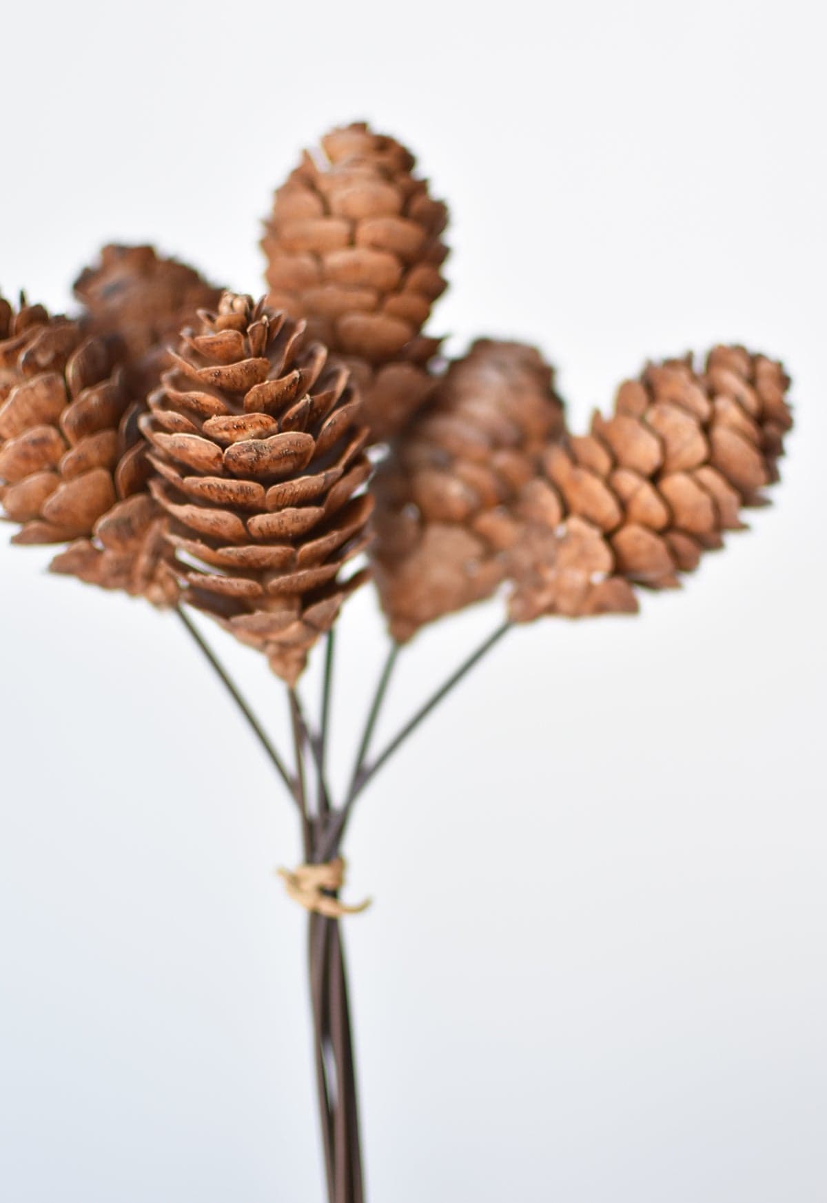 10" Faux Pinecone Stem Bundle