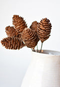 10" Faux Pinecone Stem Bundle