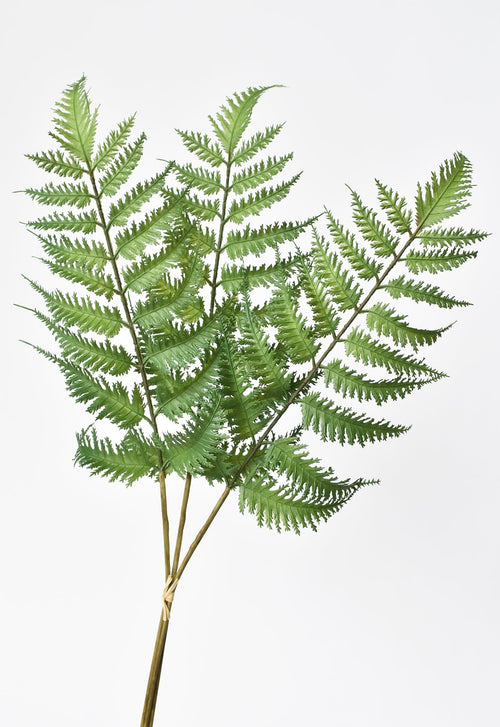 22" Faux Forest Fern Stem Bundle