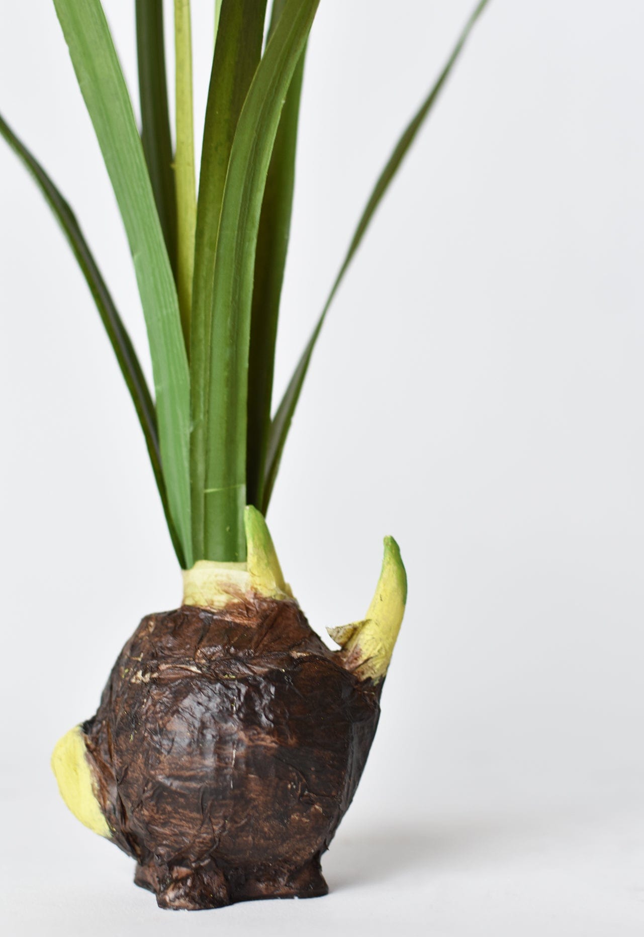 17.5" Faux Paperwhites w/ Bulb