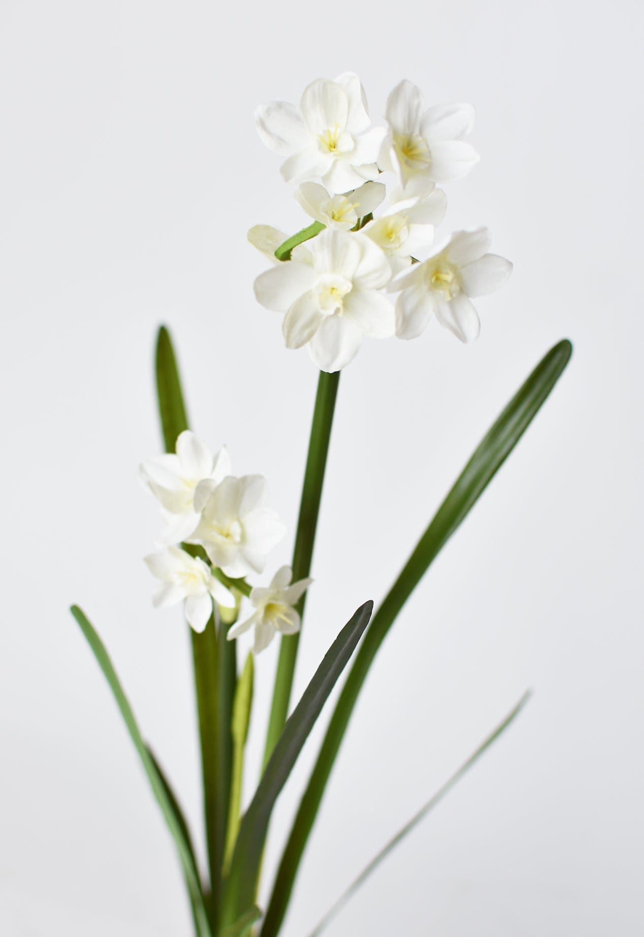 17.5" Faux Paperwhites w/ Bulb