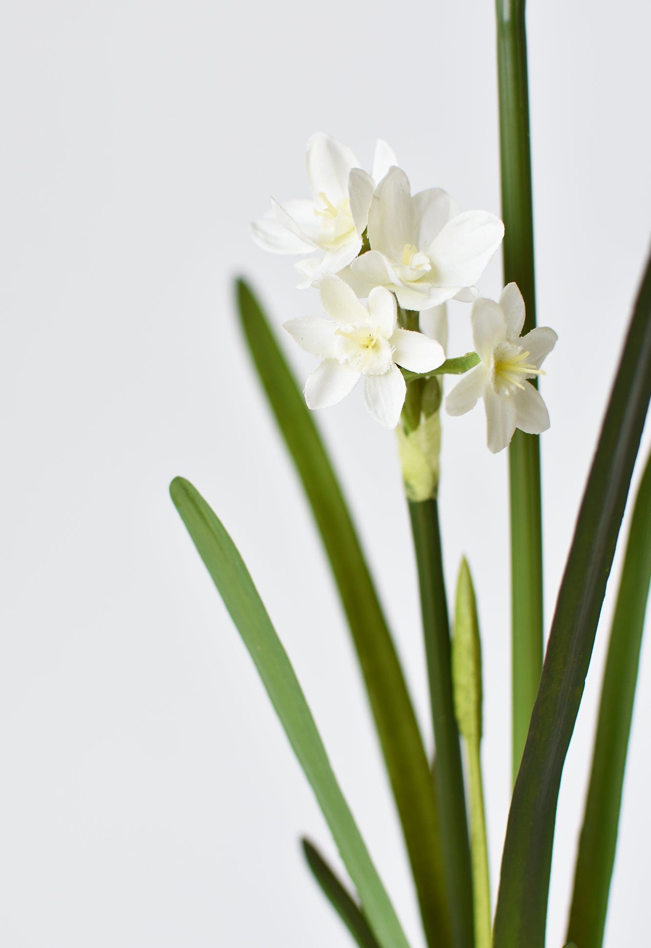 17.5" Faux Paperwhites w/ Bulb