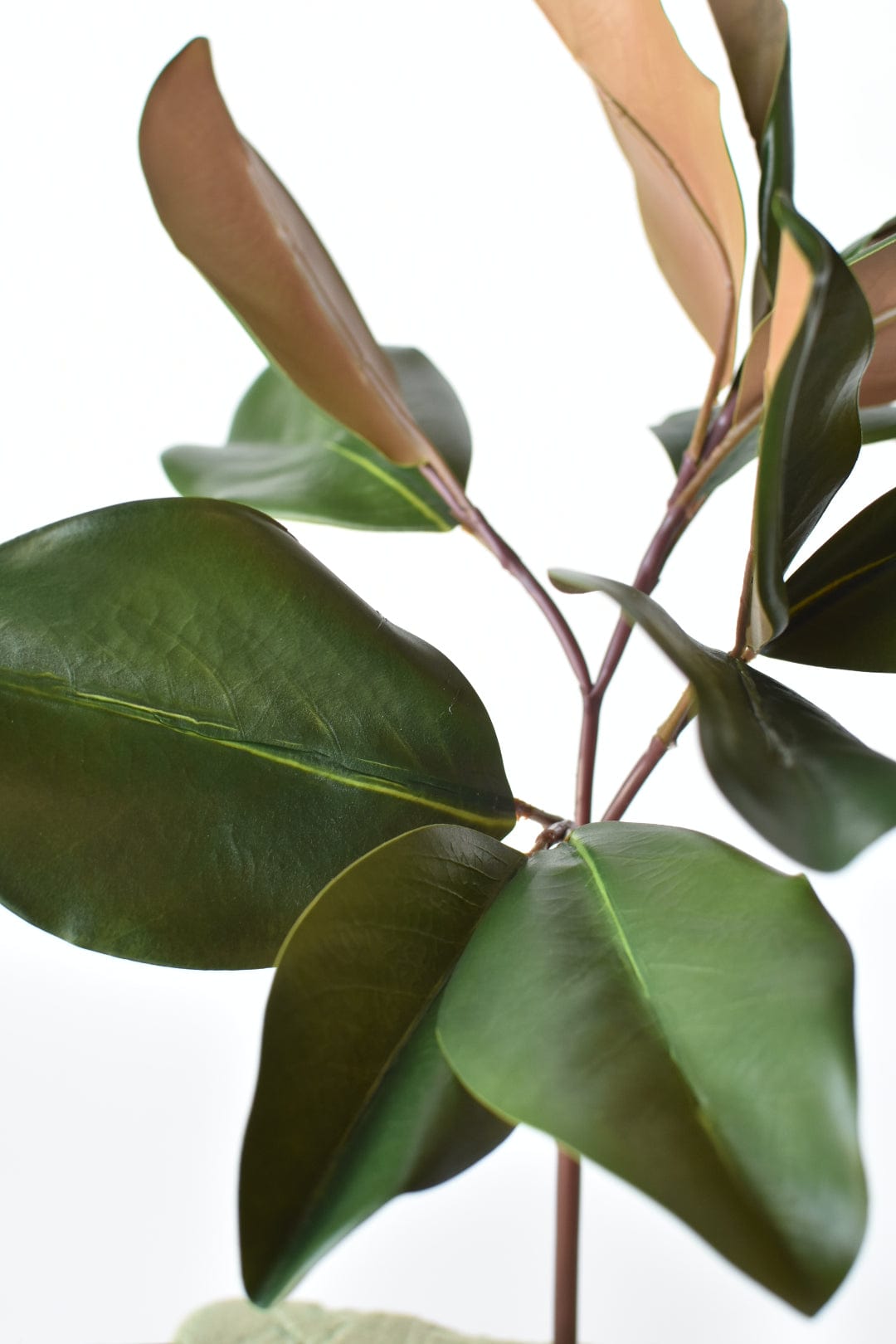 16.5" Faux Magnolia Leaf Stem