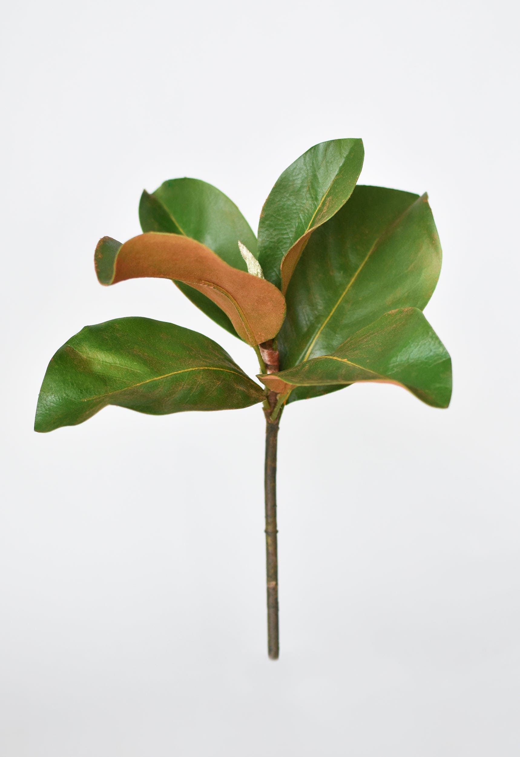 14" Faux Magnolia Leaf Stem