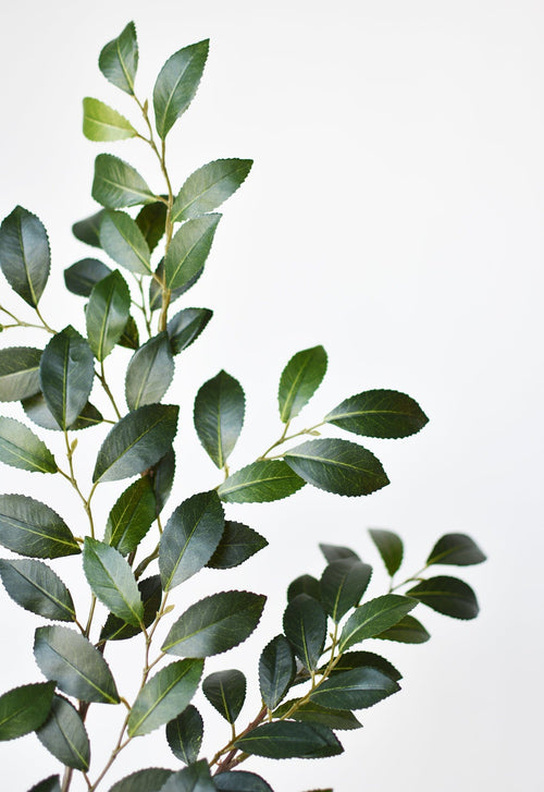 26" Faux Ruscus Leaf Stem