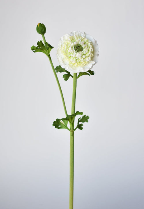 21" Faux Double Ruffled Ranunculus Stem White