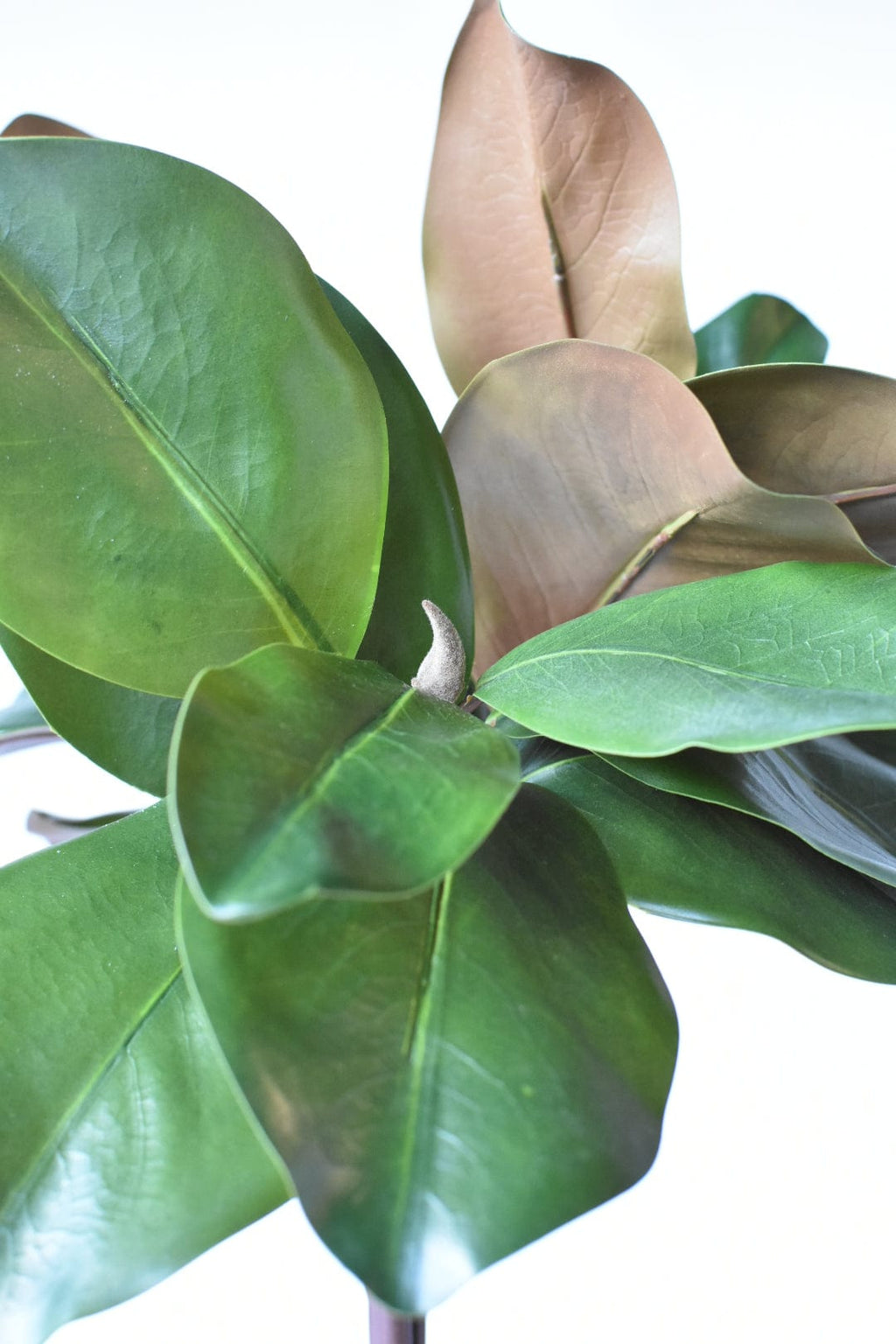 18" Faux Magnolia Leaf Bundle