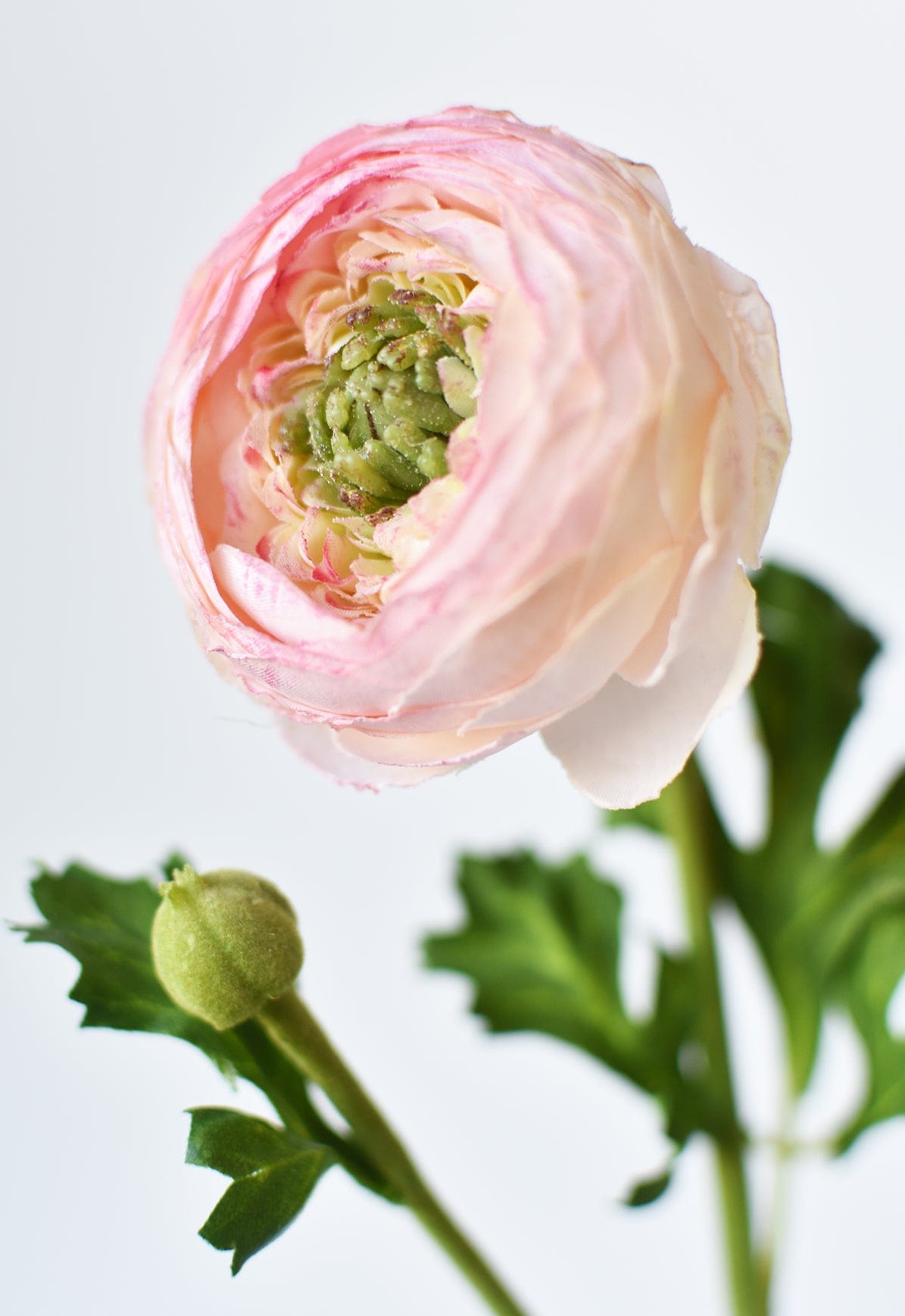 13" Faux Blush Ranunculus Stem