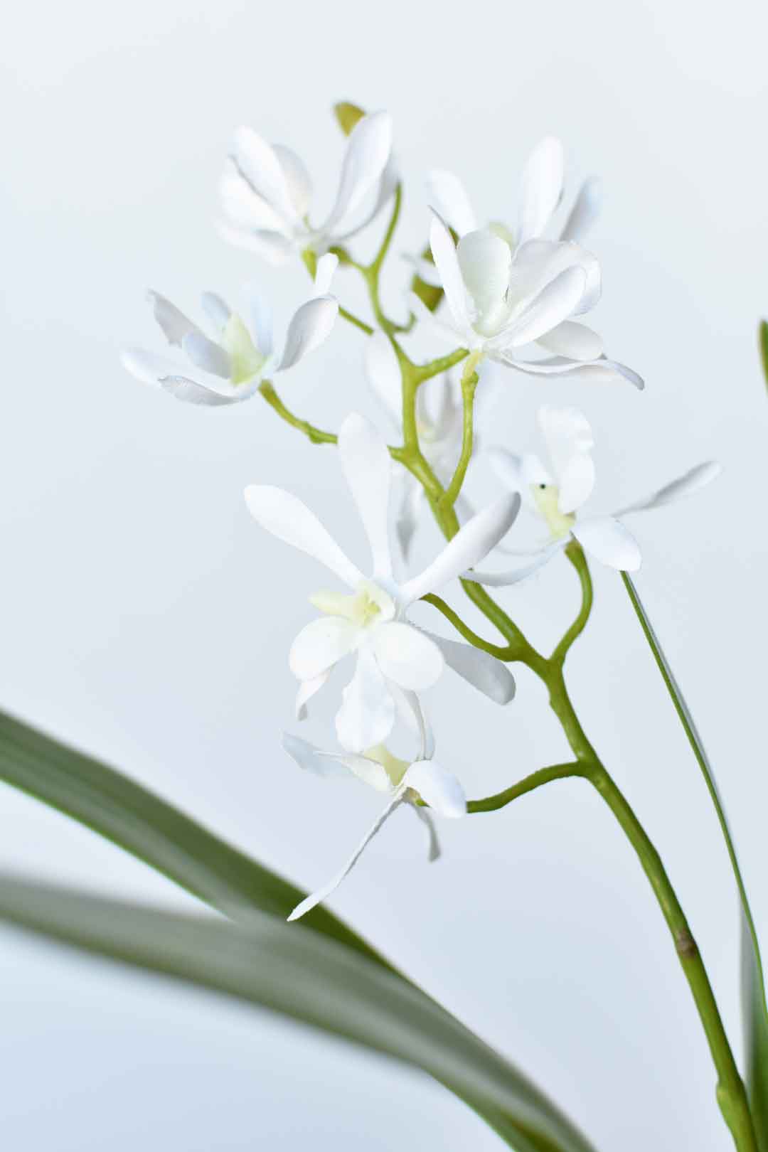 16" Faux Mini Orchid Stem with Leaves and Roots