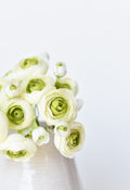 10.5" Faux White + Green Ranunculus Stem Bundle
