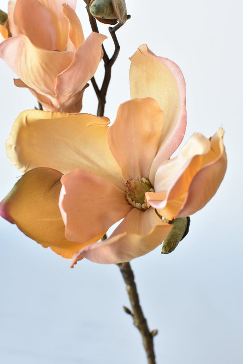 19" Faux Magnolia Stem Light Orange/Pink