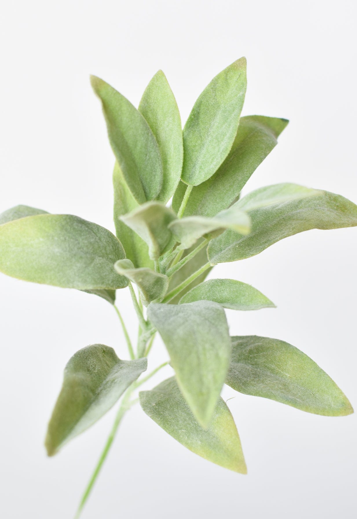 12"Faux Green Sage Pick Stem
