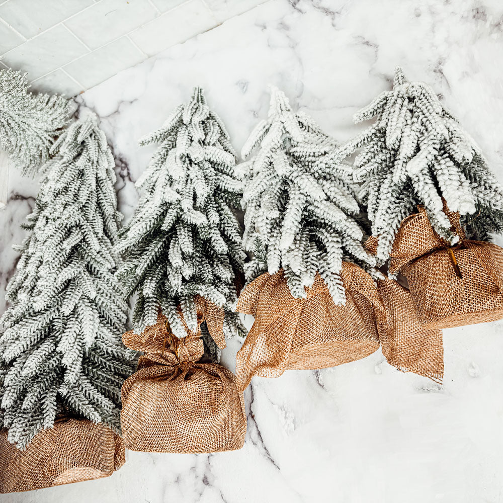 Snow Trees
