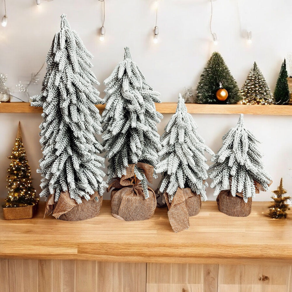 Snow Trees