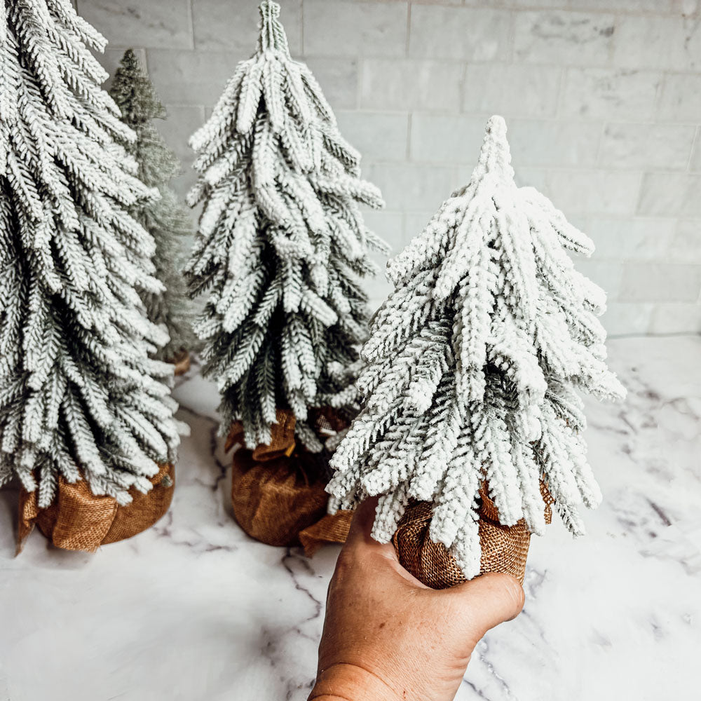 Snow Trees