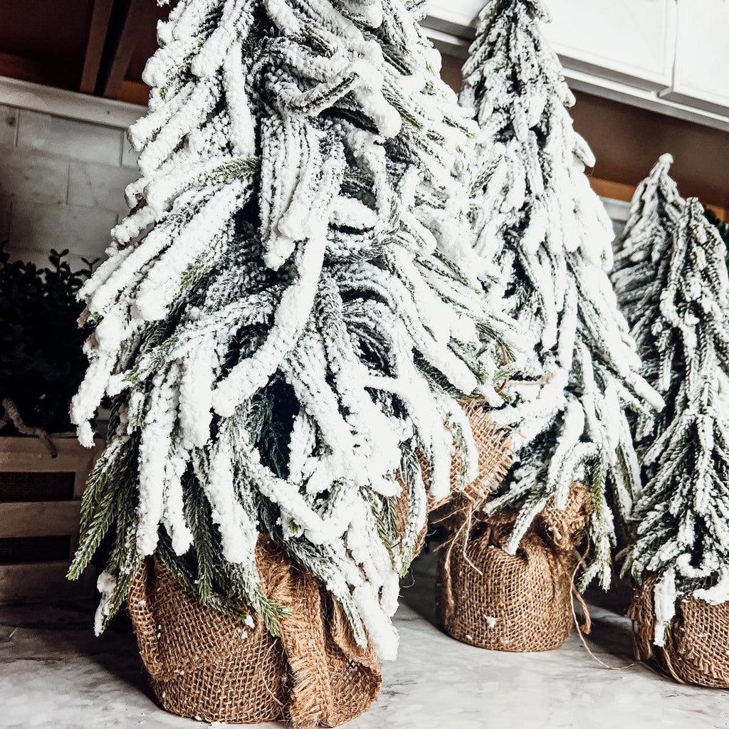 Snow Covered Trees OG