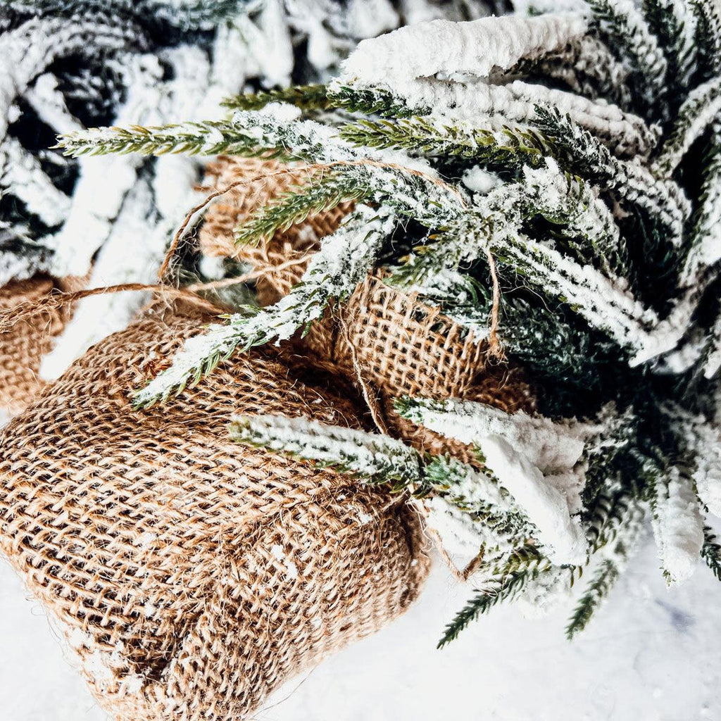 Snow Trees