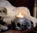 Satyr Fetal Skull Tea Light Holder