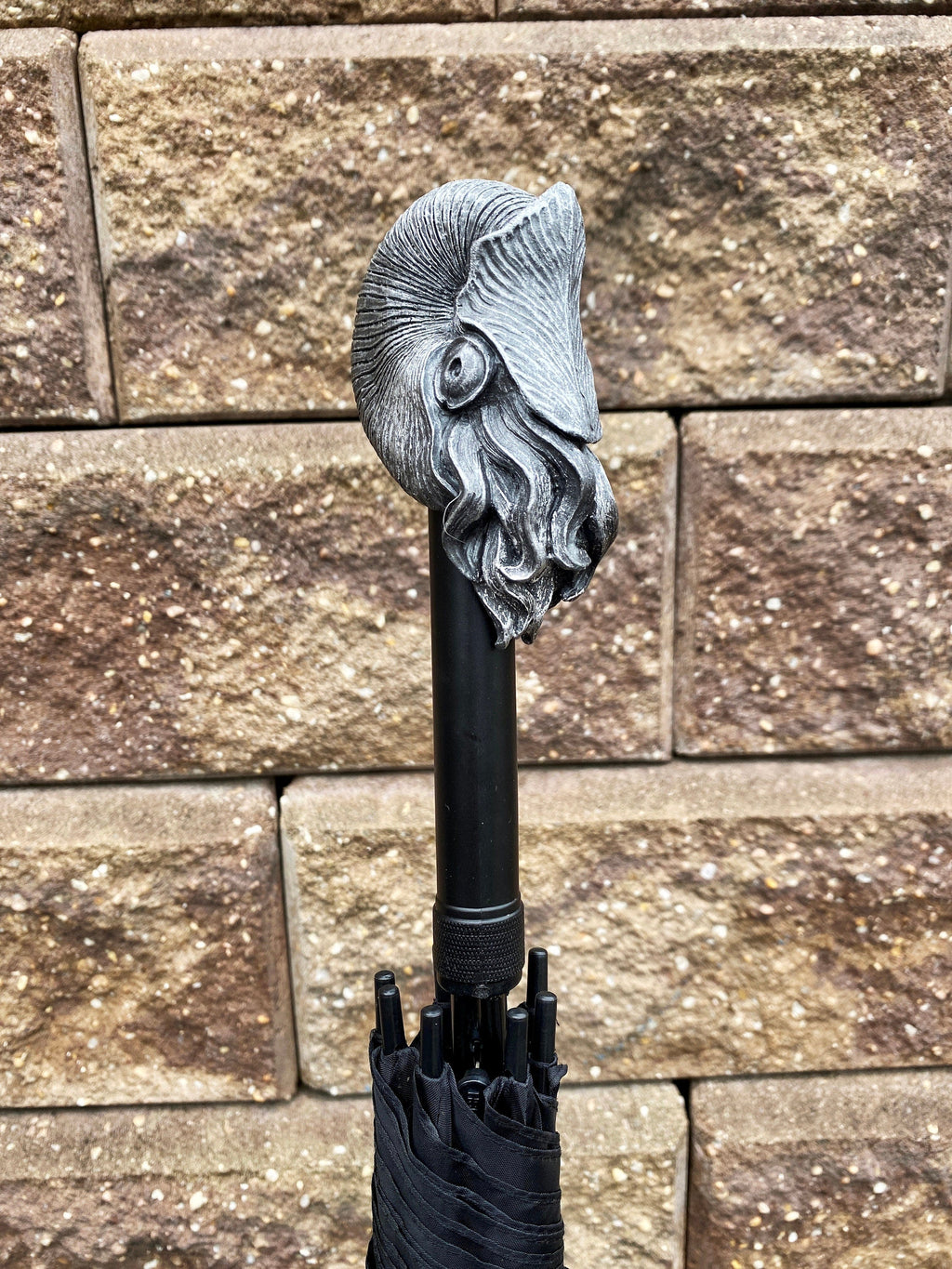 Nautilus Umbrella