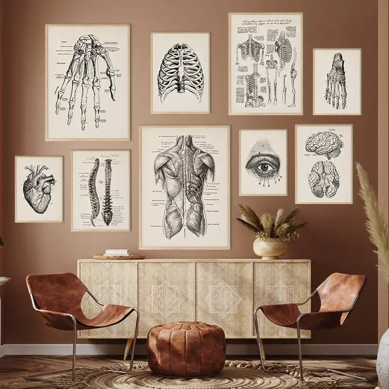 Vintage Human Anatomy Canvas Art Print