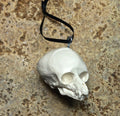 Werewolf Fetal Skull Ornament