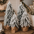 Snow Trees