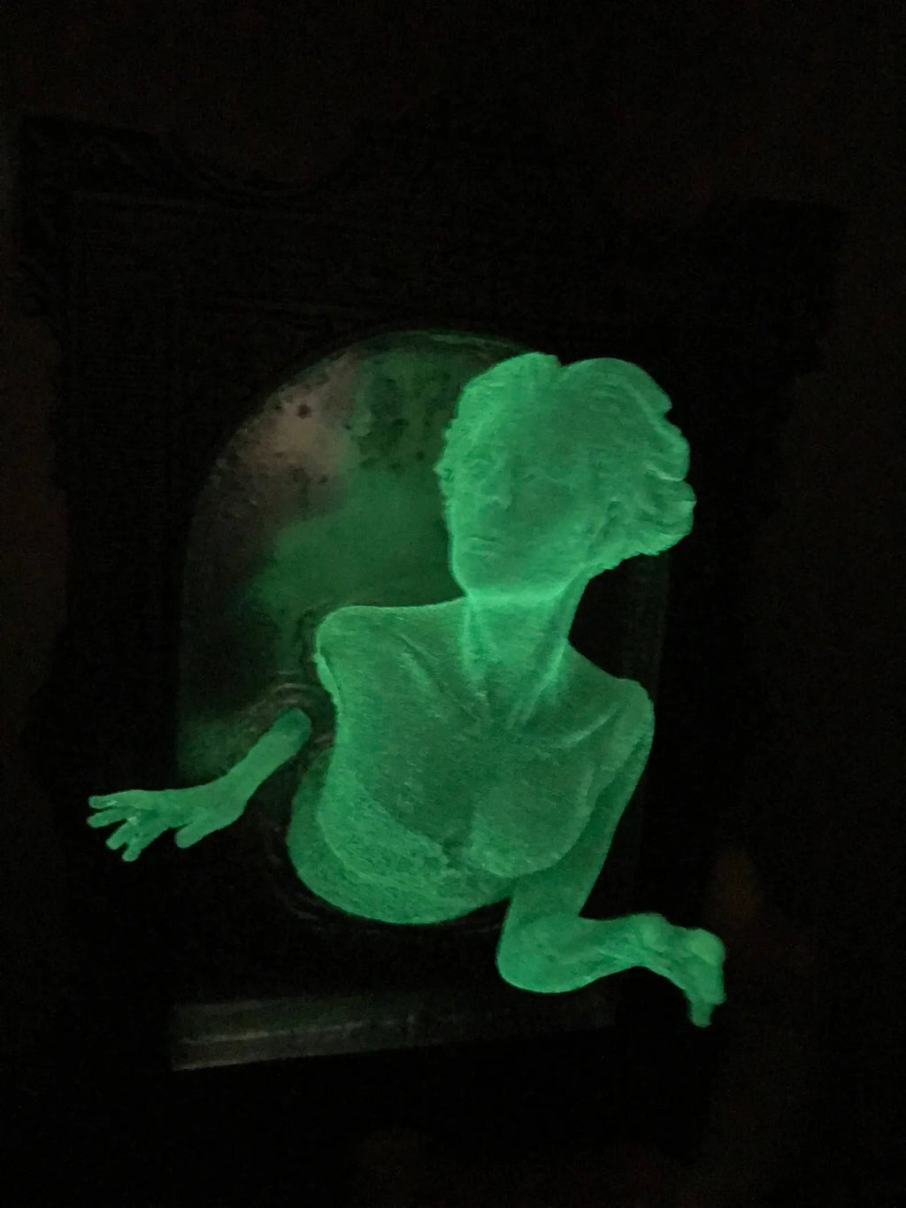 Ghost in the Mirror Wall Plaque — Glow in the Dark