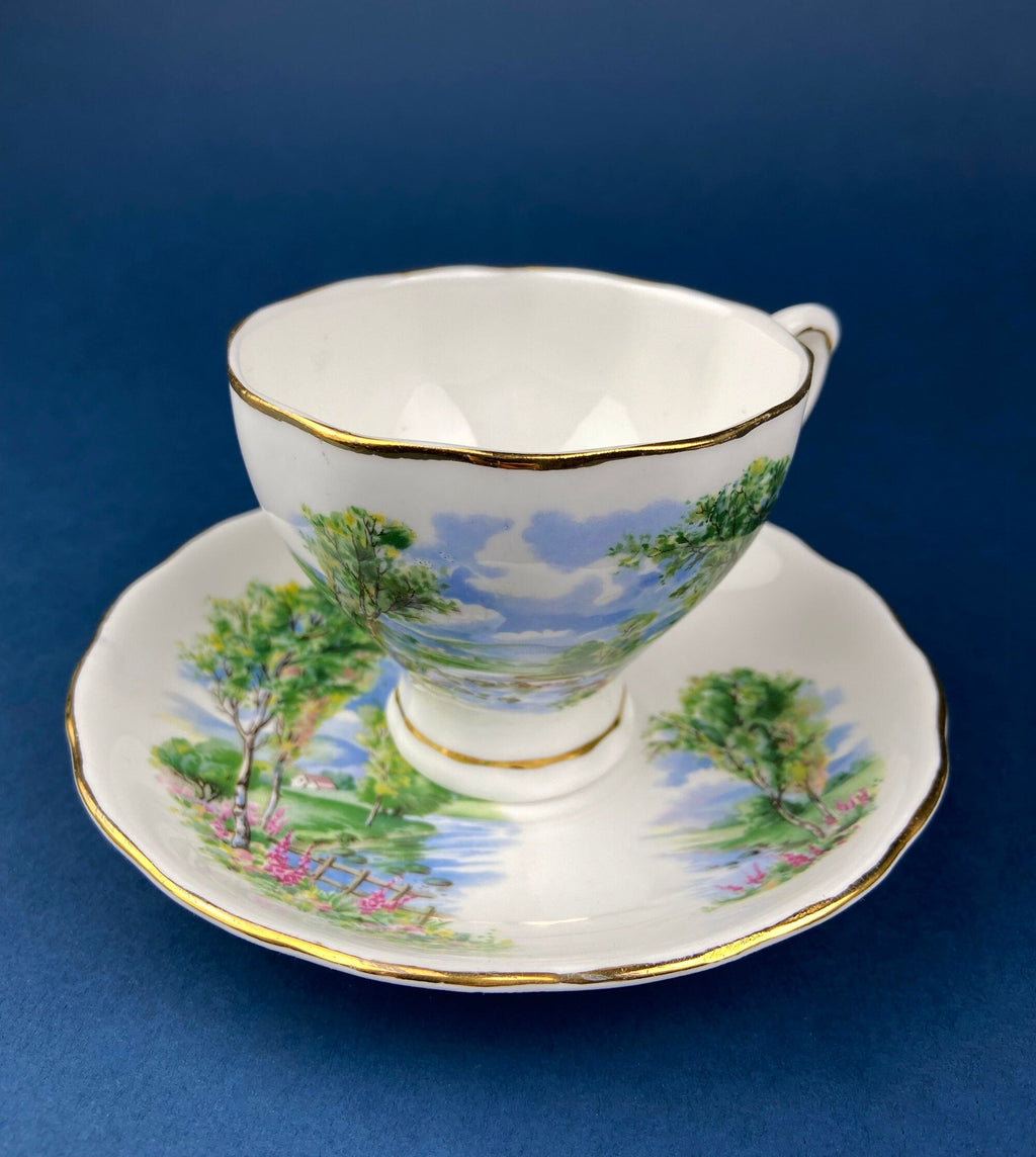 Colclough Fine Bone China Tea Cup & Saucer – Hand-Painted Pastoral Scene, Made in England