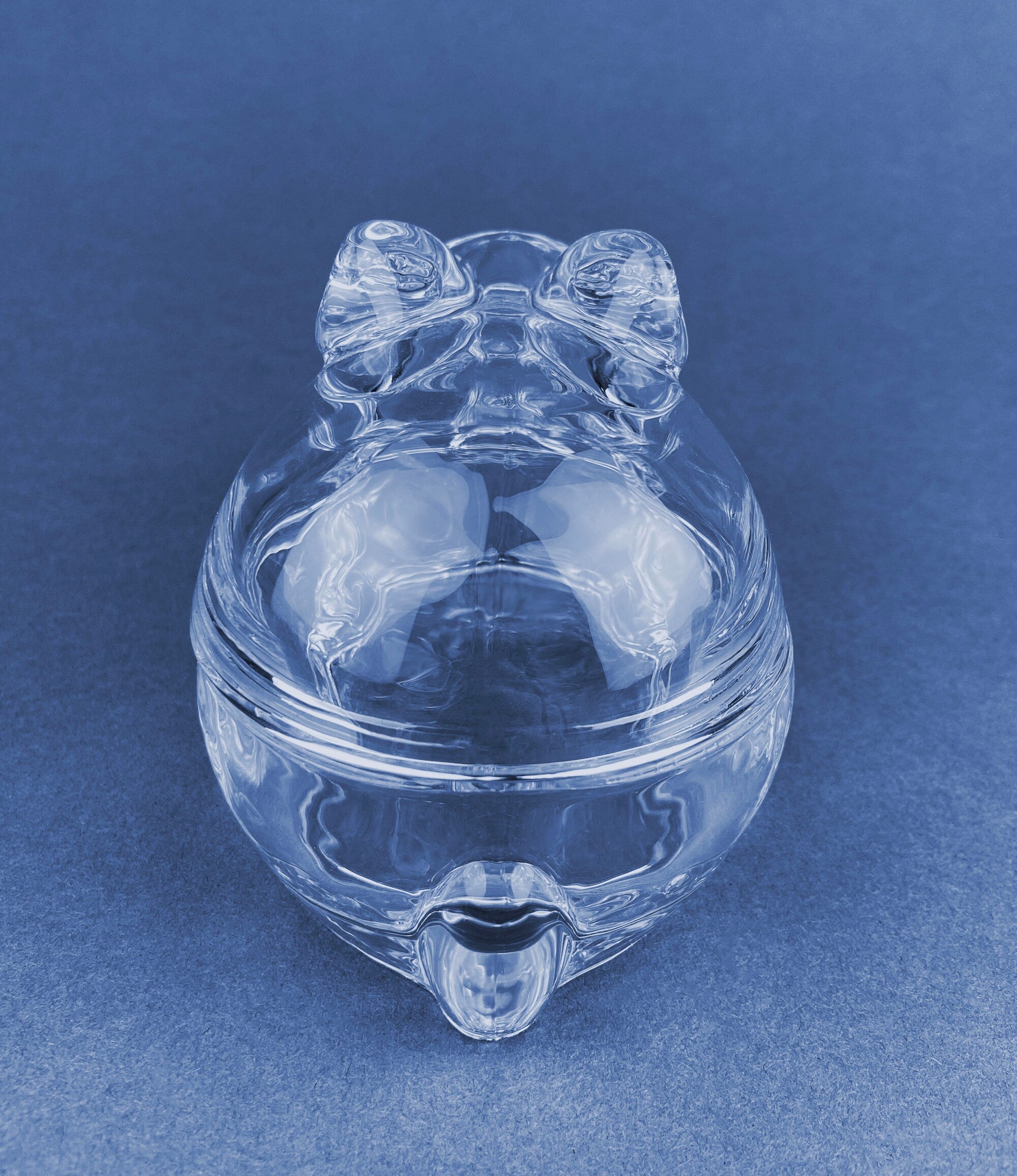 Clear Glass Bunny Butter Dish, Trinket Box, Spring Easter Decor