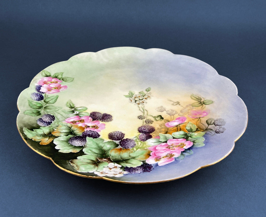 Antique M.Z. Austria Imperial Vienna Hand-Painted Decorative Plate, c.1900–1909