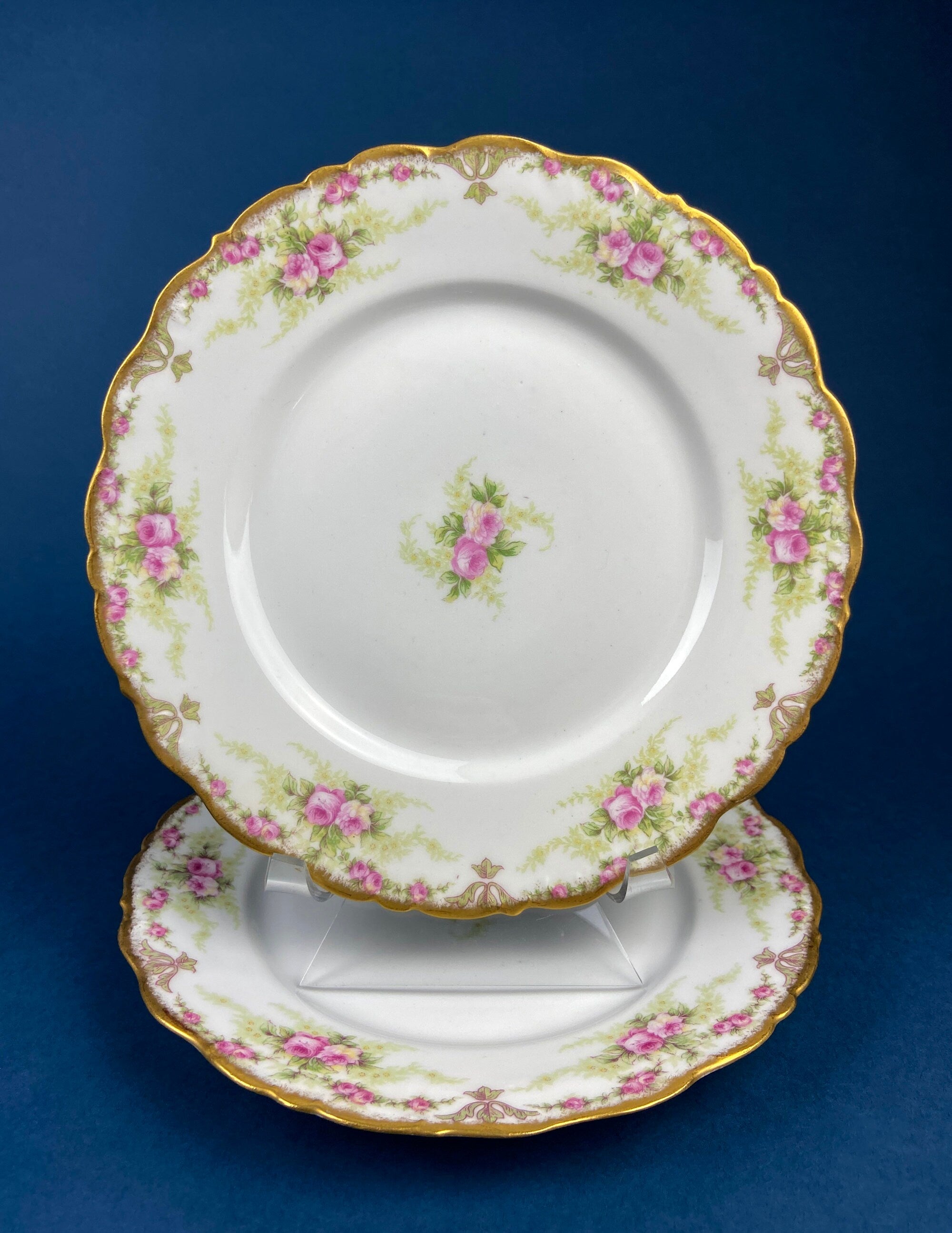 Antique Limoges Elite Porcelain Plates – Rose Garlands & Gold Rim, Set of 2