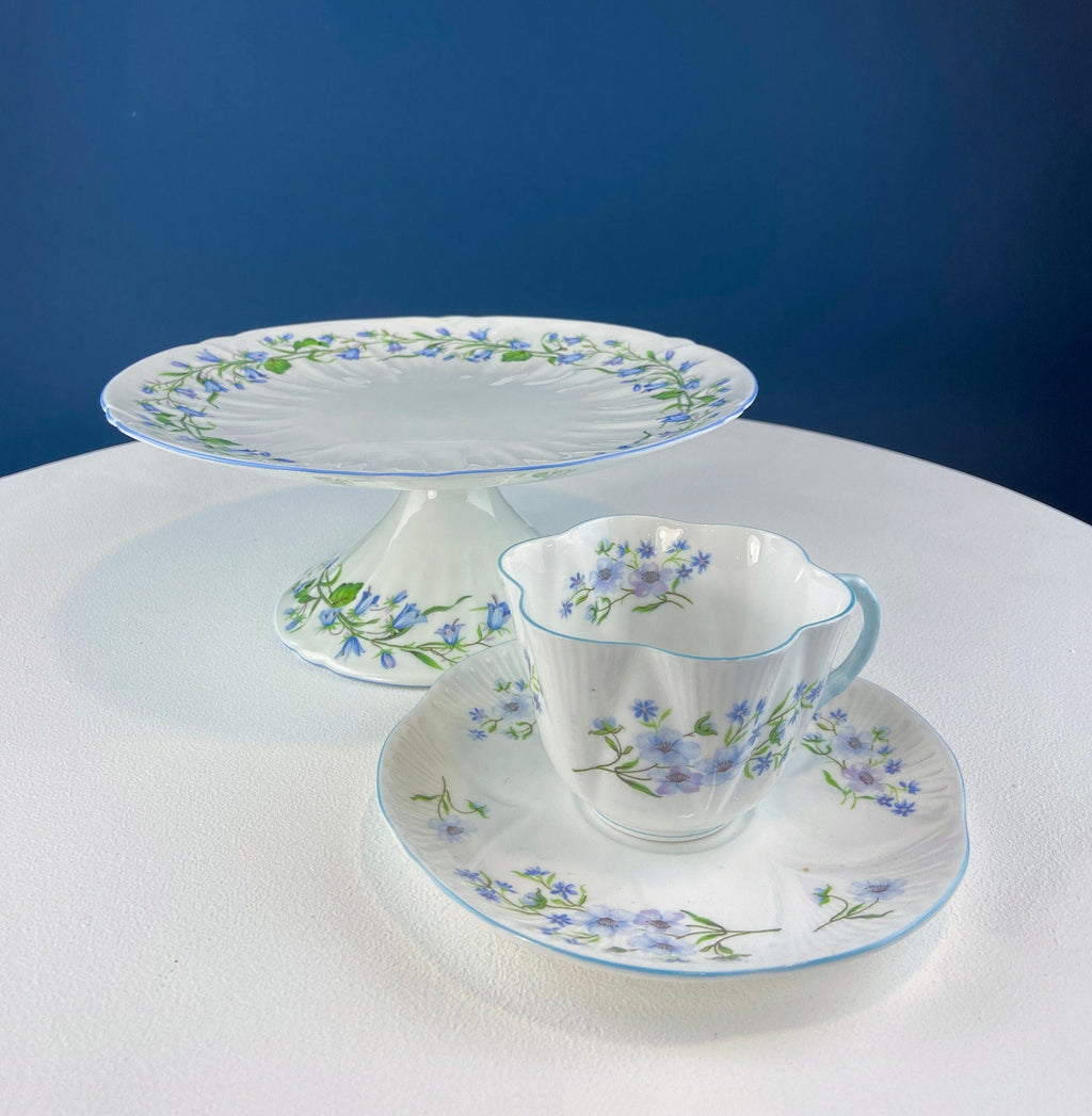 Antique Shelley Tea Cup & Saucer – Begonia Motif with Blue Handle