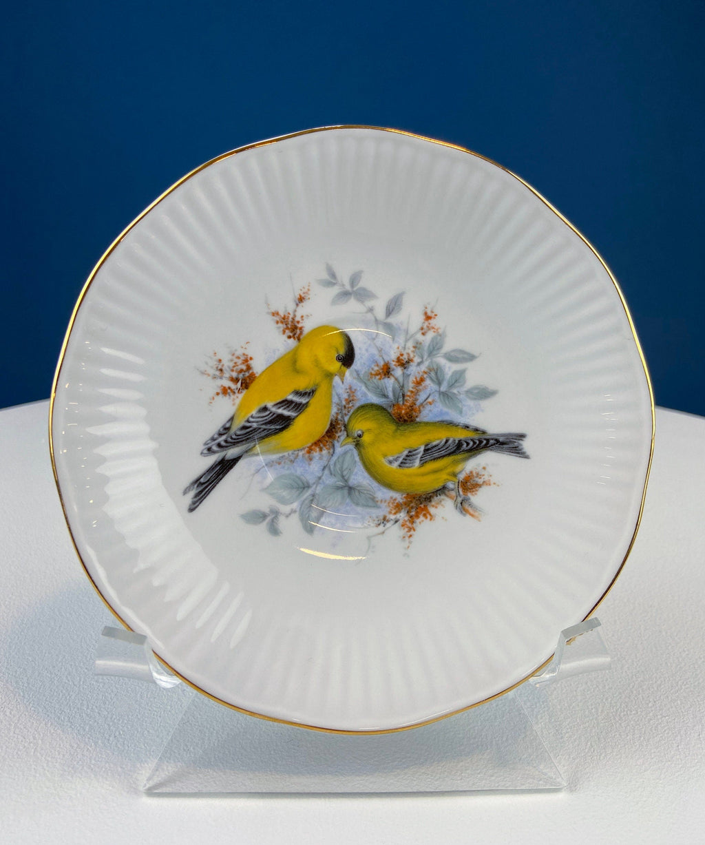 Queen’s Fine Bone China Tea Cup & Saucer – Birds of America, Pair of Finches