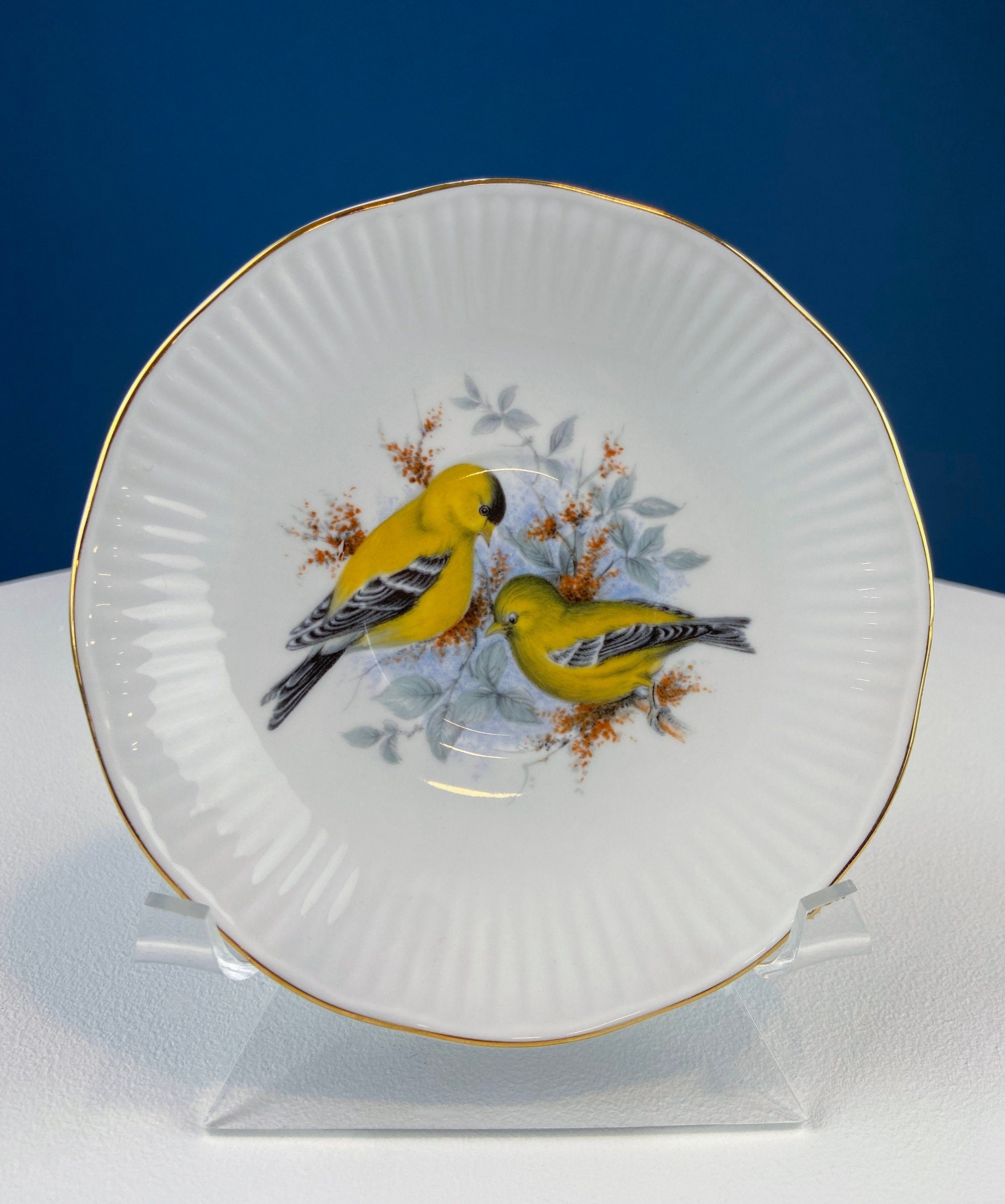 Queen’s Fine Bone China Tea Cup & Saucer – Birds of America, Pair of Finches