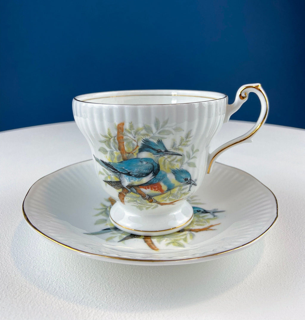Queen’s Fine Bone China Tea Cup & Saucer – Birds of America, Pair of Finches