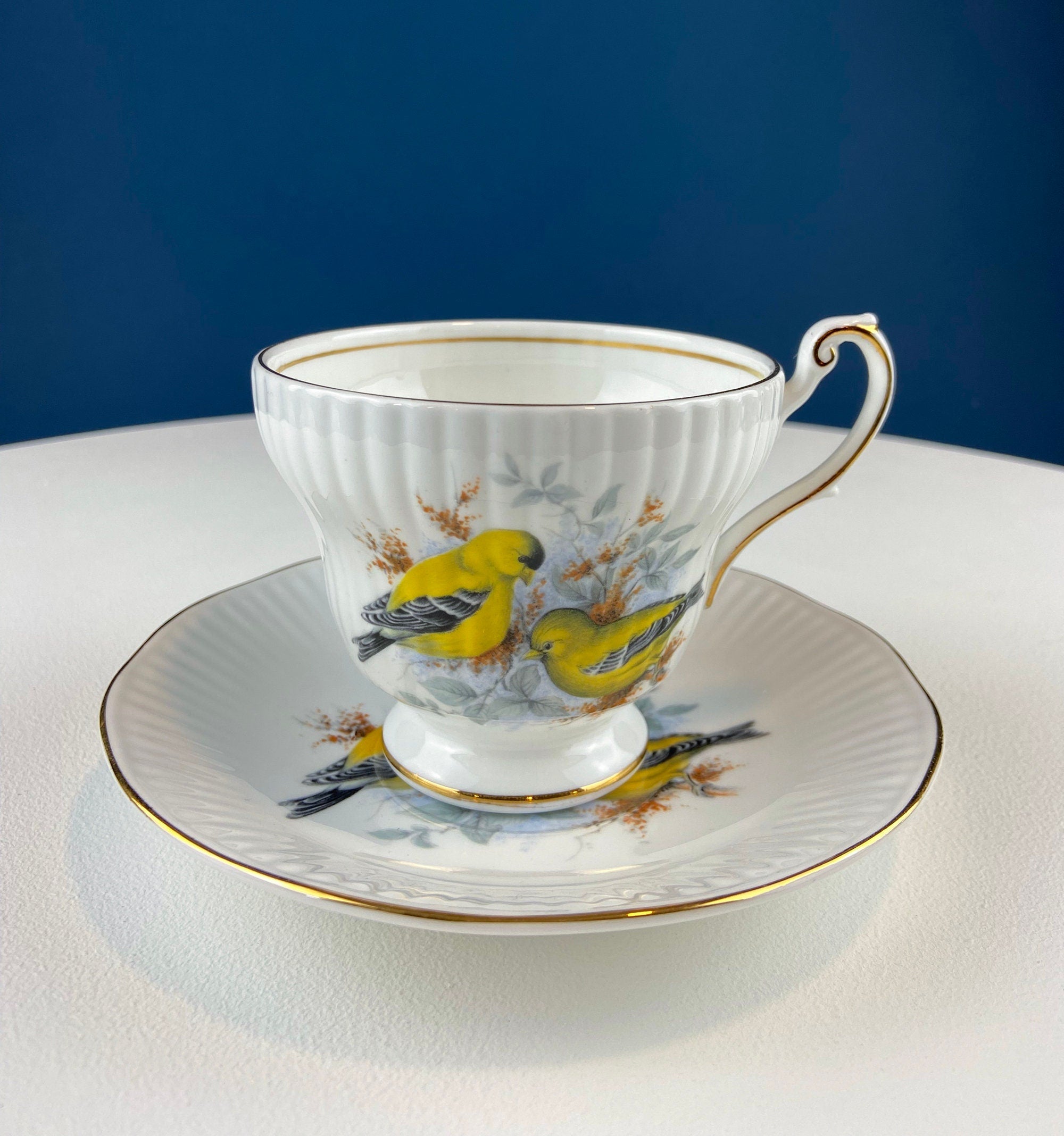 Queen’s Fine Bone China Tea Cup & Saucer – Birds of America, Pair of Finches