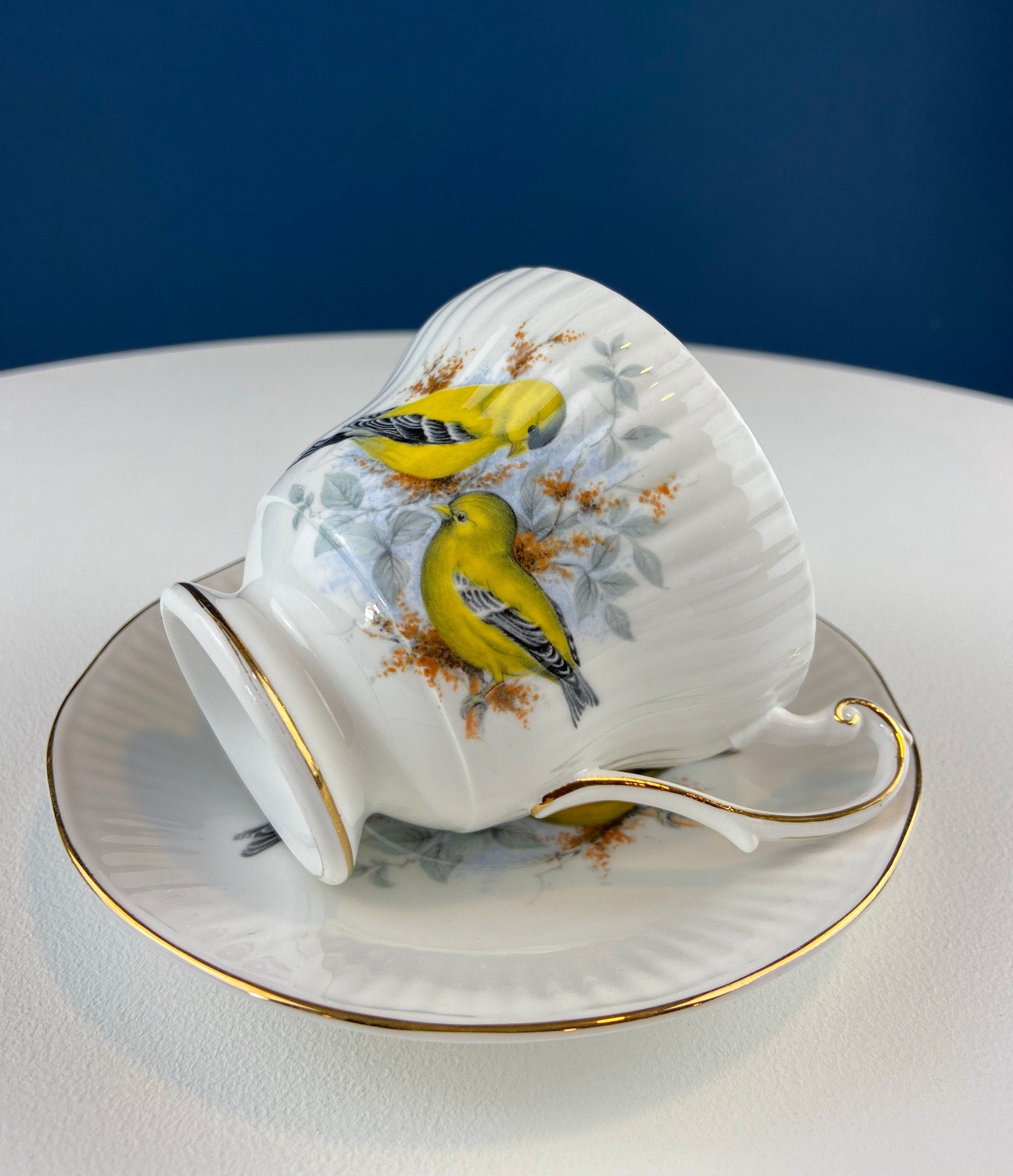 Queen’s Fine Bone China Tea Cup & Saucer – Birds of America, Pair of Finches