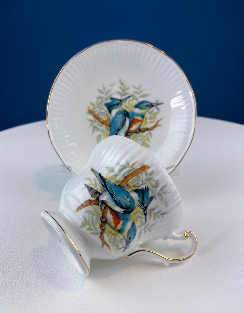 Queen’s Fine Bone China Tea Cup & Saucer – Birds of America, Pair of Finches