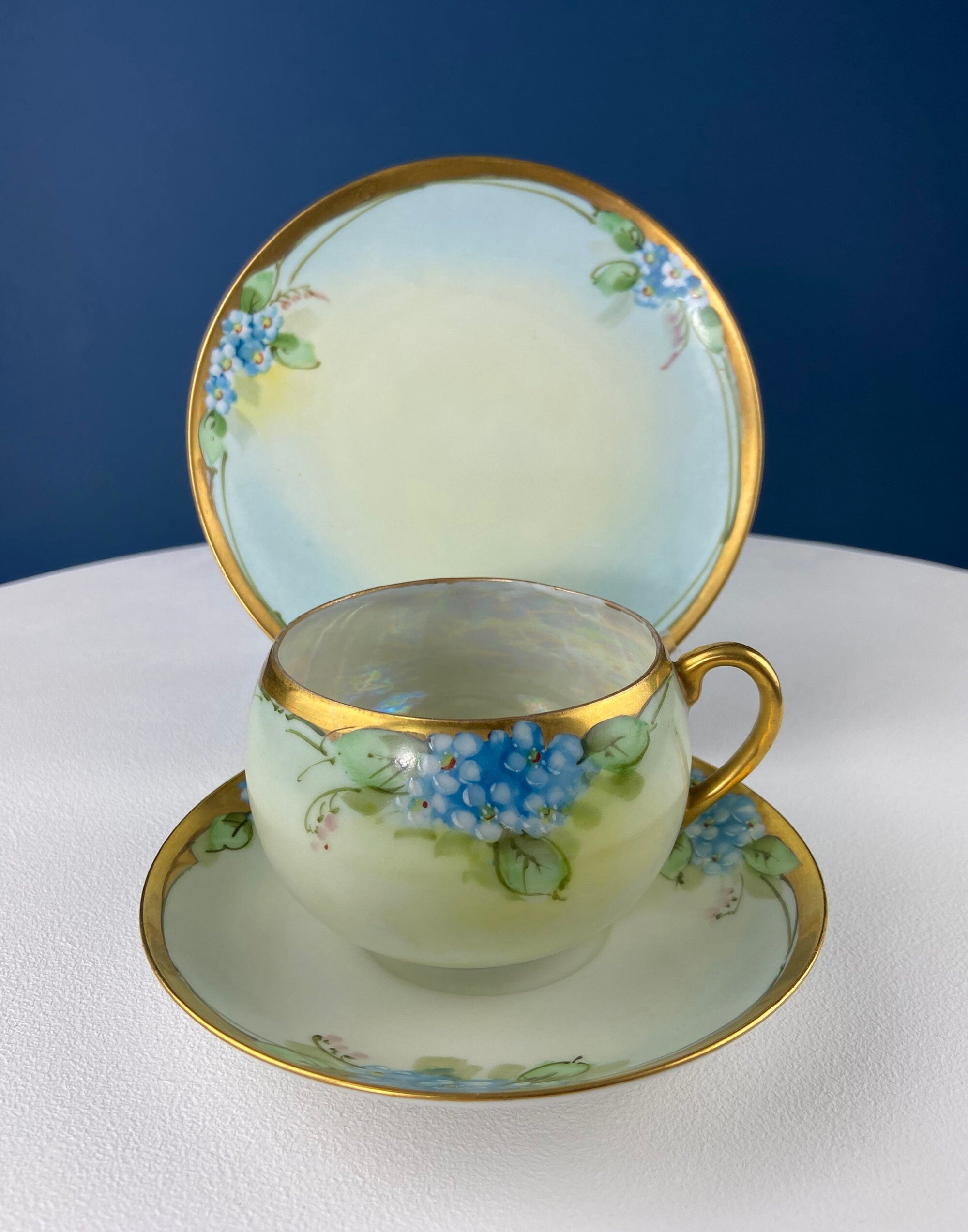 Antique Nippon Hand-Painted Tea Trio – Forget-Me-Not Motif