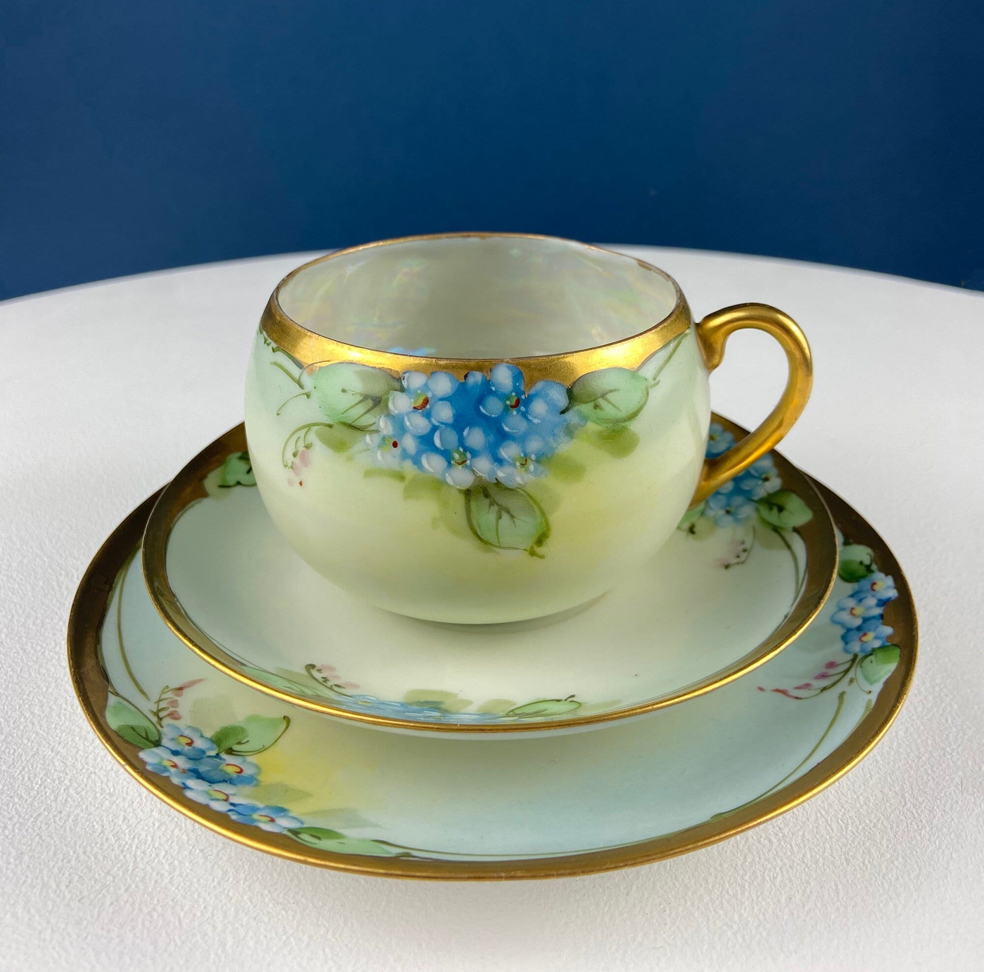Antique Nippon Hand-Painted Tea Trio – Forget-Me-Not Motif